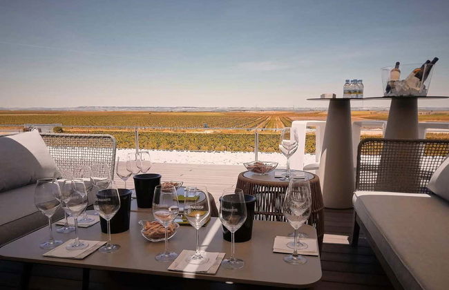 Visita a las bodegas José Pariente - Foto 7