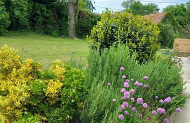 le lubermiga - Foto 10