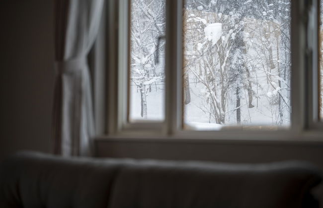 LYS GRACIEUX【Ezo Fuji hoothills】 - Photo 50