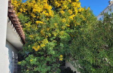 Casa Peroscalou - Photo 37