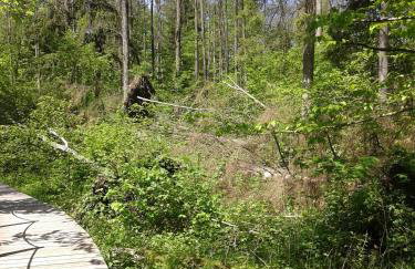 Cztery Pory Roku - Foto 61