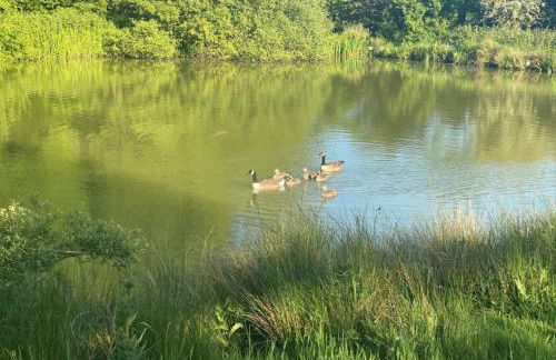 Oast House - Otium Wine Estate - Foto 17