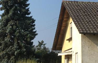 Riedwiesen - Foto 18