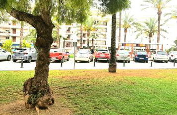 Nolan House - Photo 69