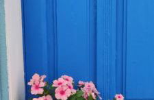 La casa del Paguro Bernardo - Foto 1