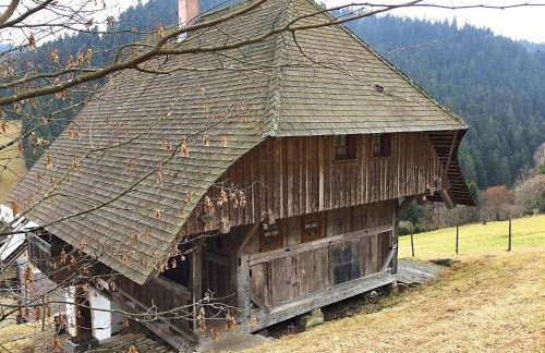 Charmantes, Einladendes Ferienhaus in Toller Natur - Foto 8