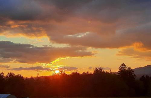 Blockhaus am Baumwipfelpfad - Foto 59