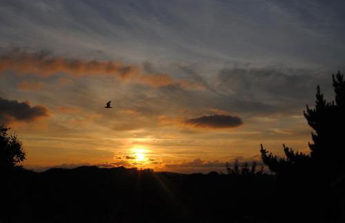 Trenant View - Foto 38