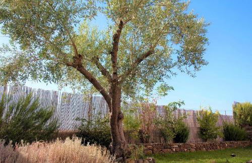 Holiday Home in Guadiana Park Near River - Foto 50