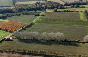 'Bramley' Hut on private farm - Foto 4