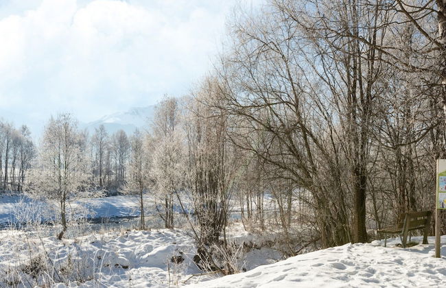 Traditional Bungalow in Kitzbuhel Alps - Foto 26