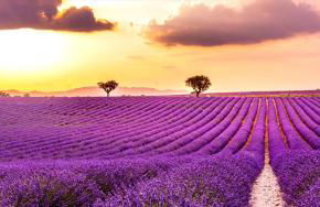 Gîte Valensole - Photo 9