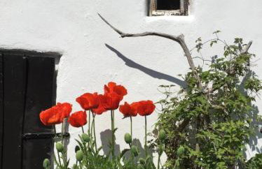 Villa Ilsebill - Foto 6