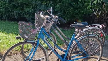 Stella di Mare - Cà Savio - Foto 5