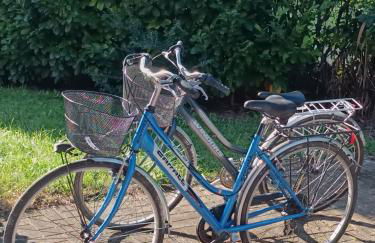 Stella di Mare - Cà Savio - Foto 5