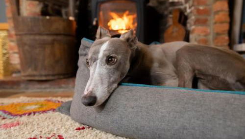 3 Bed in Kings Lynn oc-43950 - Foto 2, Other