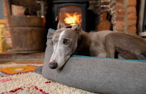 3 Bed in Kings Lynn oc-43950 - Foto 2