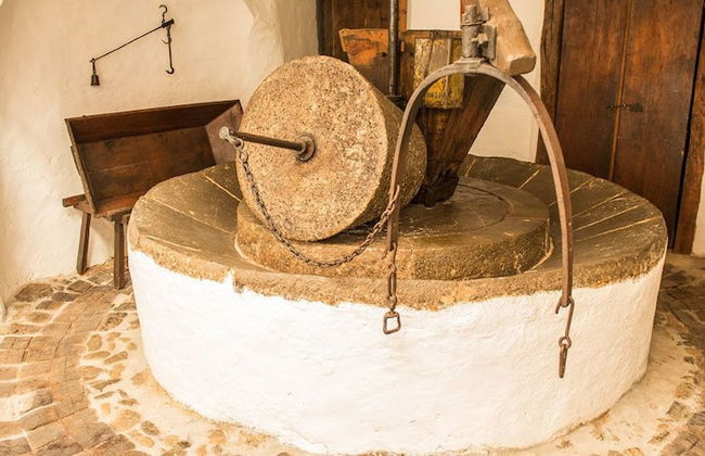 Muleta de Ca S'Hereu Agroturismo - Photo 52