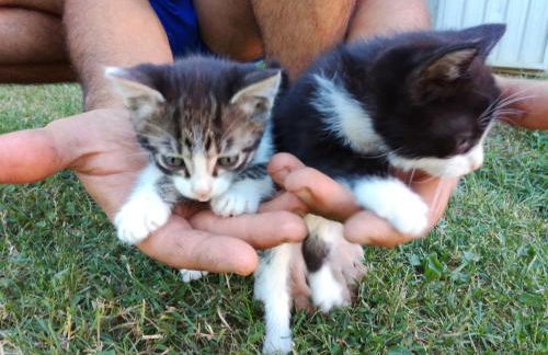 Country Rooms & Suite La Quercia - Foto 23