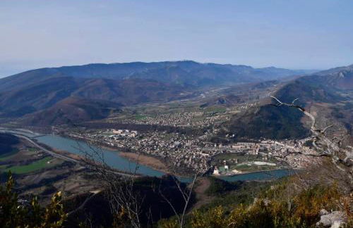 La Salamandre de l Olivier - le Mimosa - Foto 8