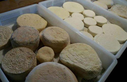 Agriturismo di Charme e Ristorante Stallato Il Filo di Paglia - Foto 81