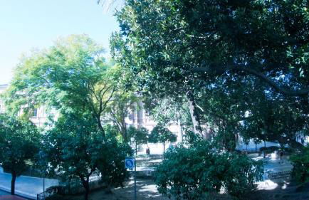 Apartamento Museo - Foto 25