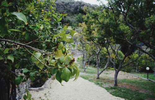 Agriturismo San Michele di Danio Giovanni - Foto 29