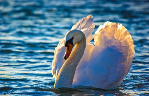 FeWo Oberle - Foto 11