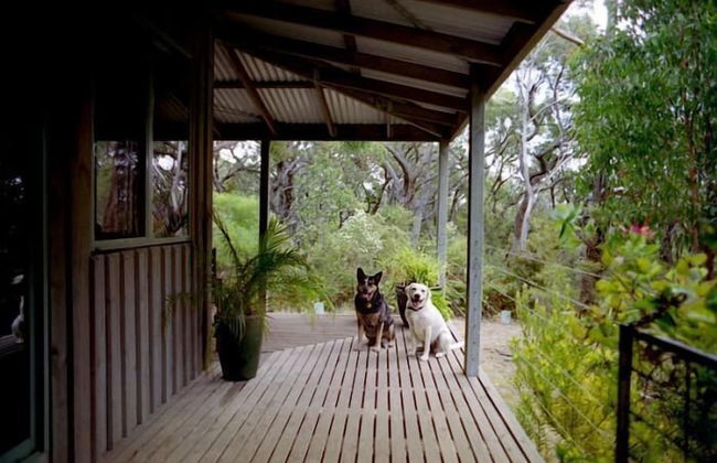 Cape Otway Cottages - Foto 31