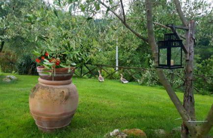 Agriturismo Santa Giusta - Foto 107