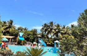 Fazendinha Parque Raposa - Foto 19