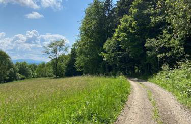 Beskidzki Reset - Foto 39