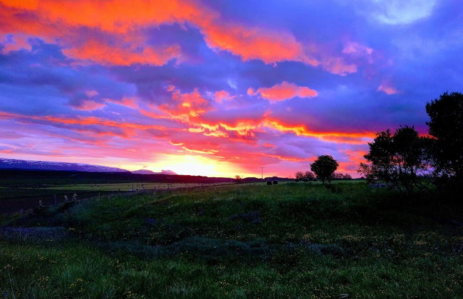 Hjartarstadir Guesthouse - Foto 32