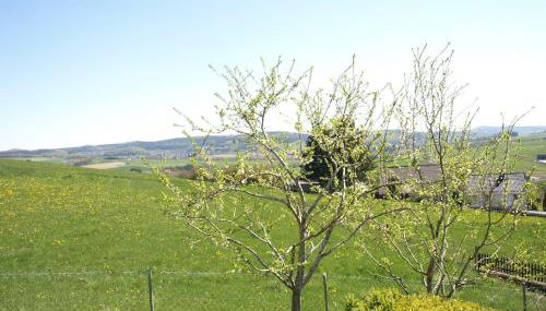 Ferienwohnung mit Fernsicht, Eifel, Nürburgring - Foto 3