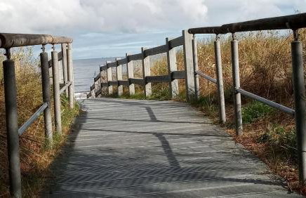 Fischstübchen Neeberg Apt 1 – Wald und Wiese - Foto 19