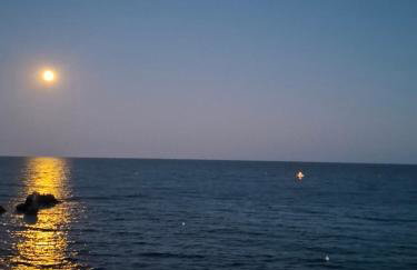 Le rivage - Photo 28