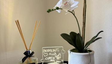 La Corte Sul Lago casa vacanze - Foto 3