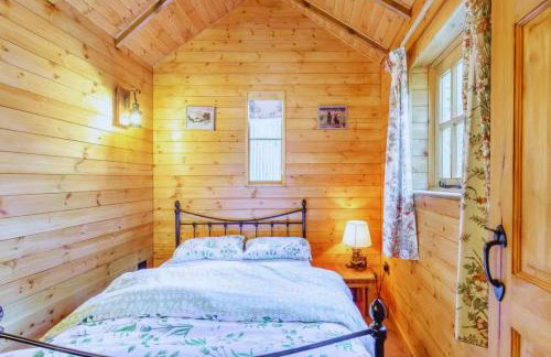 Bears House - Foto 3