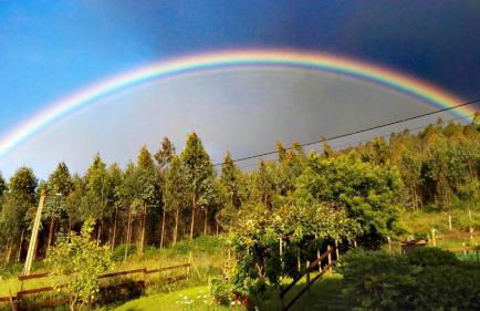 Casa o Furco - Foto 20