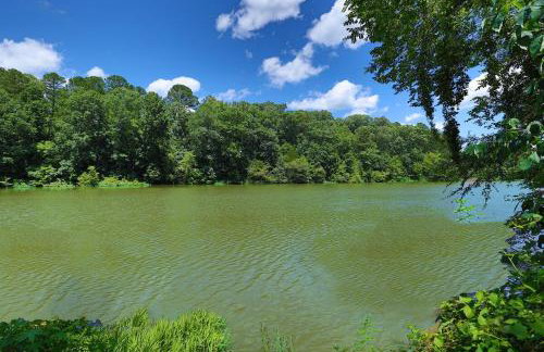 Dog Friendly Lakeside Escape with Hammock and Fire Pit - Foto 52