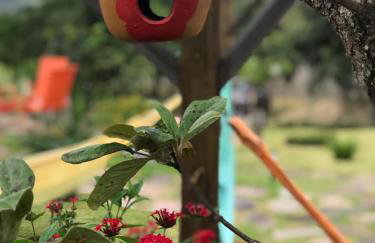 Chalés Recanto Paraíso - Foto 35