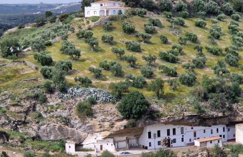 El Aroma del Dulce - Foto 49