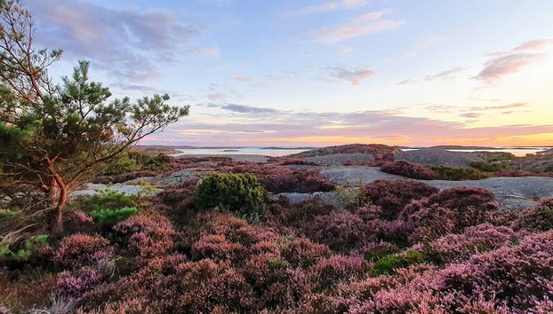 Holiday Home in Hälleviksstrand - Foto 3, Verschiedenes