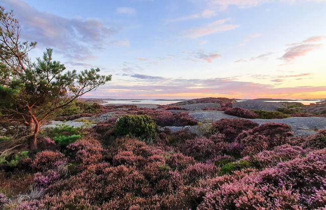 Holiday Home in Hälleviksstrand - Foto 3