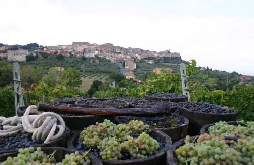 Agriturismo La Pietriccia - Foto 122