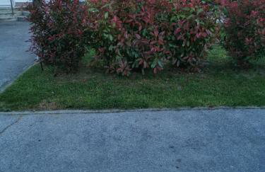 Ludberga - Foto 20