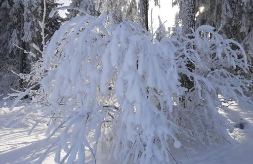 Ferienwohnung Waldblick Oberhof - Foto 13