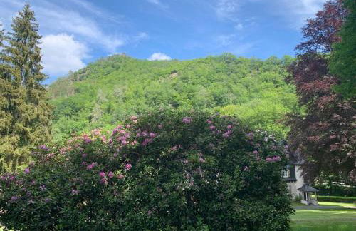 Landsitz Kammerburg - Foto 66