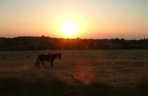 Agriturismo il Poggio - Foto 40