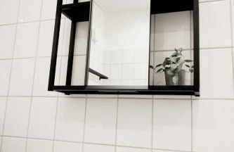 SH Team Lodges 4 Apartments für max 19 Personen l Monteure l Messe l Business - Photo 38